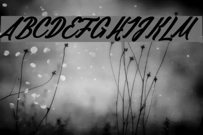 Daylight&Moonlight light_PersonalUseOnly Шрифта examples