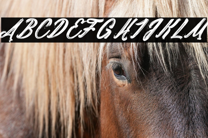 Daylight&Moonlight_PersonalUseOnly Example 2