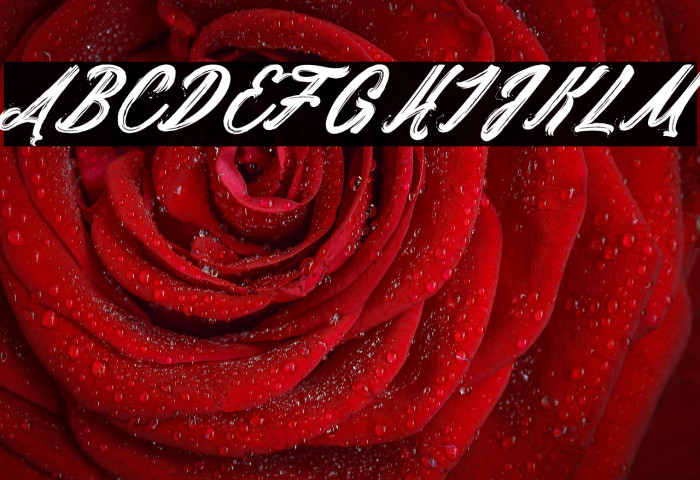 Daylight&Moonlight_PersonalUseOnly Example 3