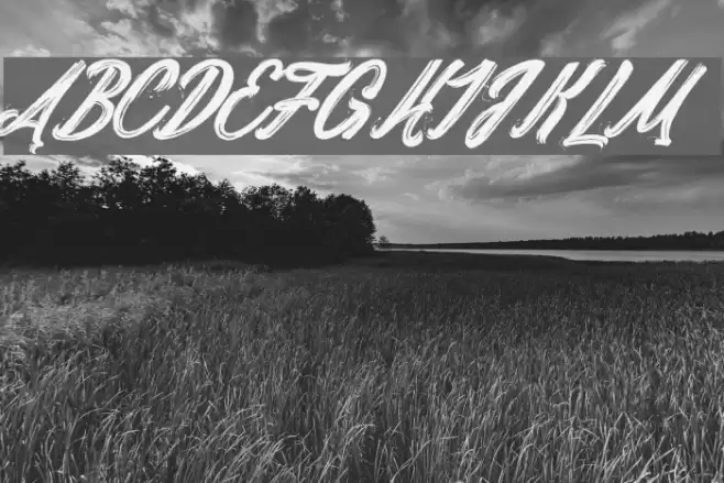 Daylight&Moonlight_PersonalUseOnly Шрифта examples