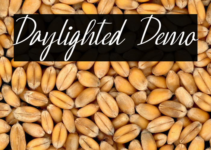 Daylighted Demo フォント examples