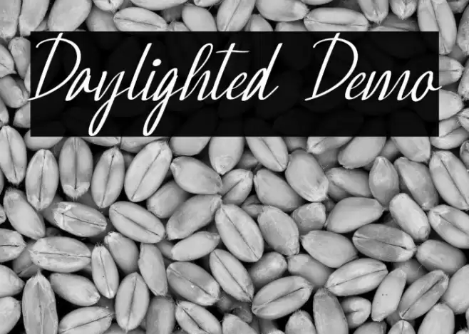 Daylighted Demo Font examples