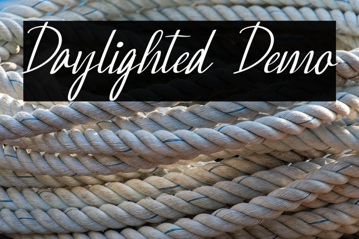 Daylighted Demo フォント examples