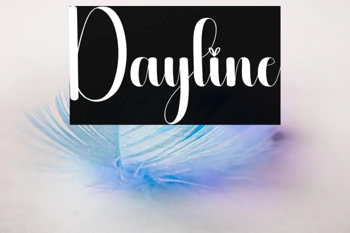 Dayline Example 2