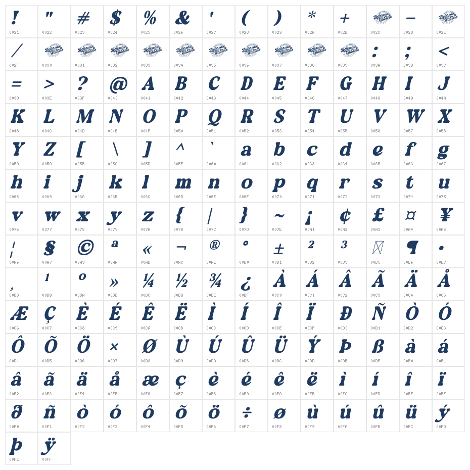 Daylist Beach DEMO VERSION Italic Character Map