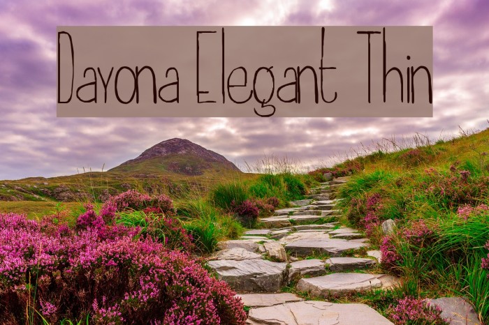 Dayona Elegant Thin Example 2