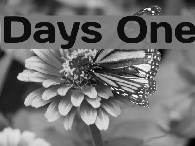 Days One Font examples