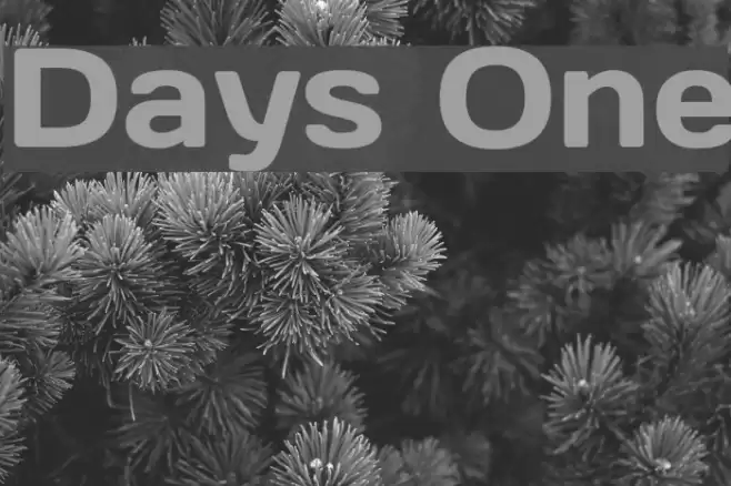 Days One Font examples