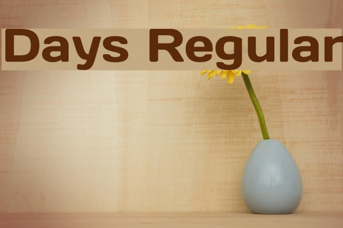 Days Regular Font examples