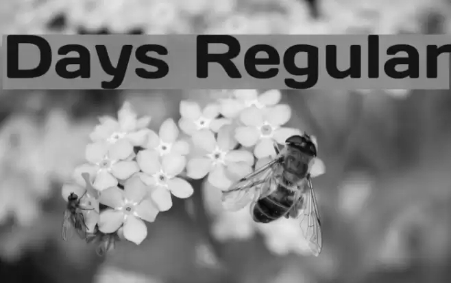 Days Regular Font examples