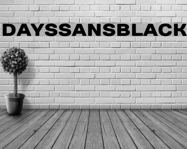 DaysSansBlack Font examples