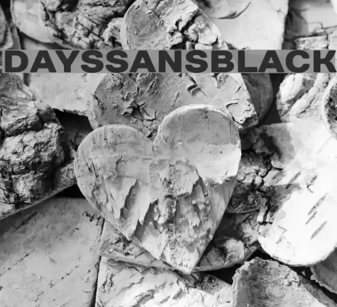 DaysSansBlack Font examples