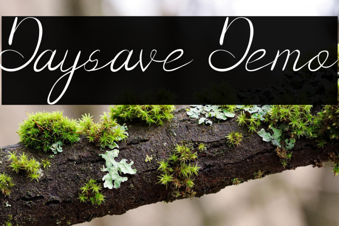 Daysave Demo Example 1