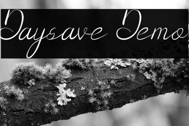 Daysave Demo Example 1