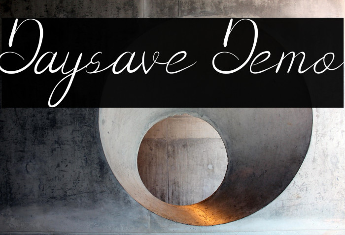 Daysave Demo Example 2