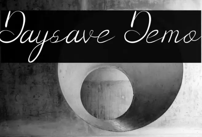 Daysave Demo Example 2