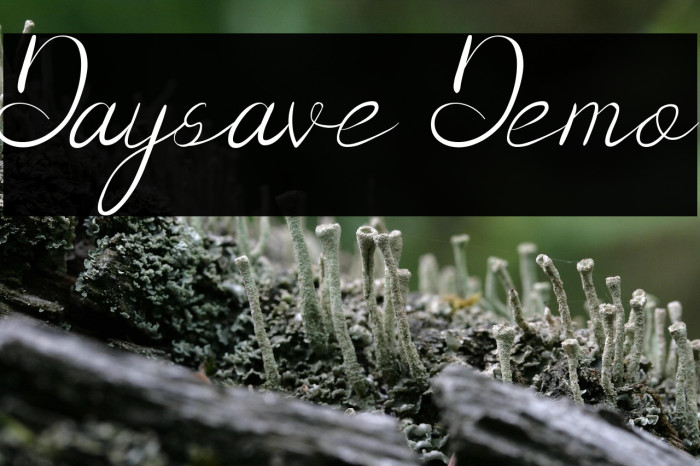 Daysave Demo Example 3