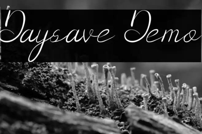 Daysave Demo Example 3