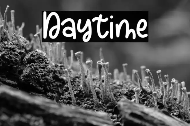 Daytime Example 1