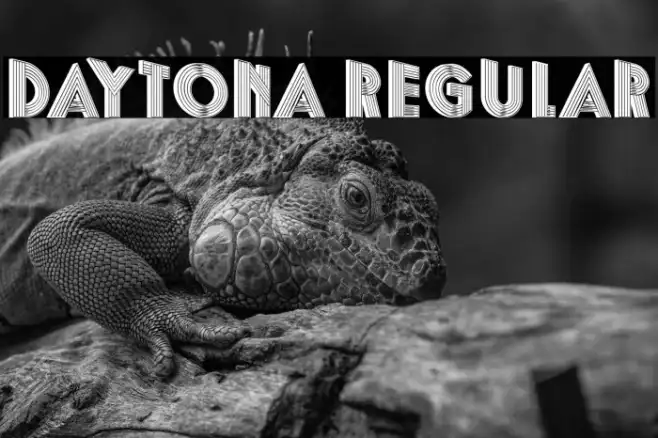 Daytona Regular Example 3