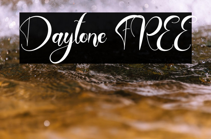 Daytone FREE Example 2