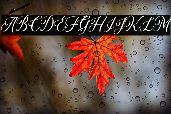 DaytoniaFree Example 2