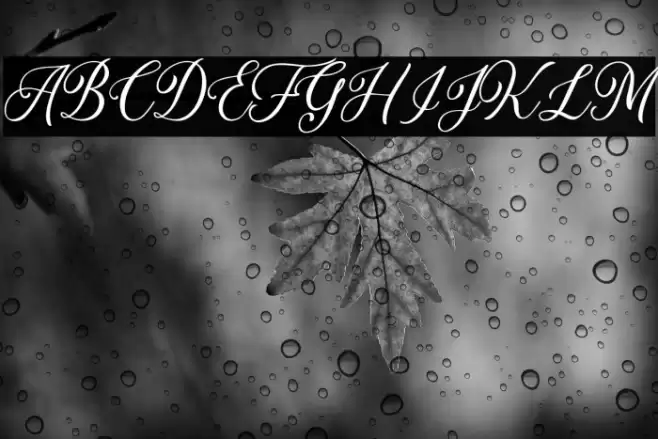 DaytoniaFree Font examples