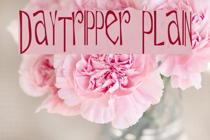 Daytripper Plain Font examples