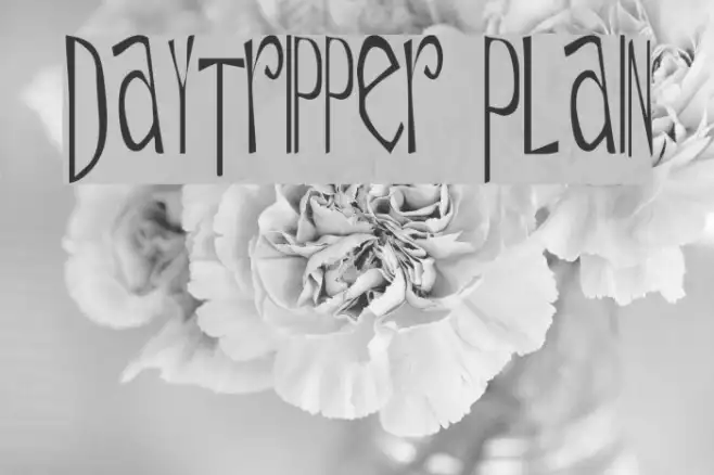 Daytripper Plain Example 1