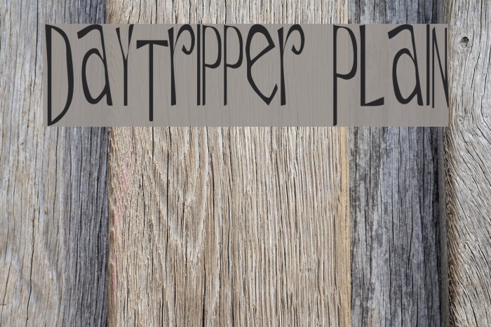 Daytripper Plain Font examples