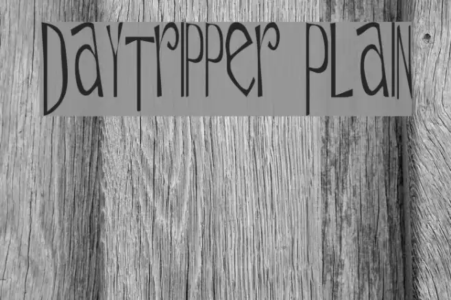 Daytripper Plain Example 2