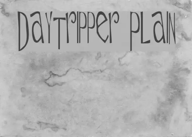 Daytripper Plain Example 3