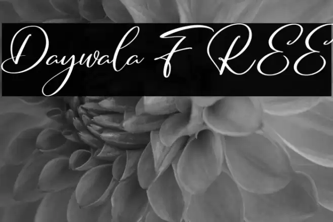 Daywala FREE Font examples