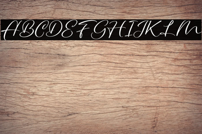 DaywalaFREE Example 3