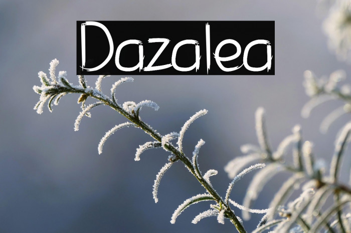 Dazalea Example 1