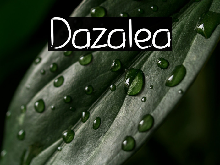 Dazalea Example 2