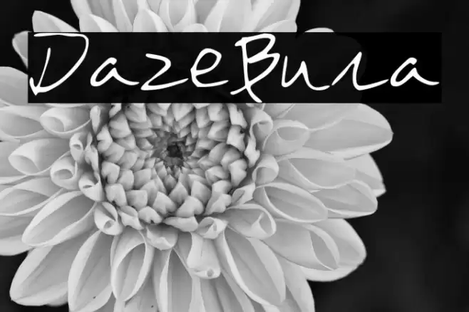 DazeBuna خط examples