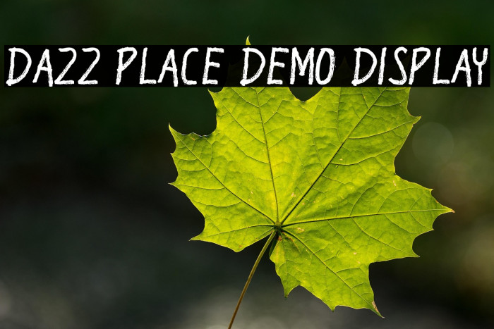 Dazz Place Demo Display Example 1