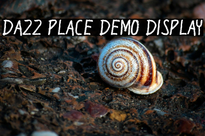 Dazz Place Demo Display Example 2