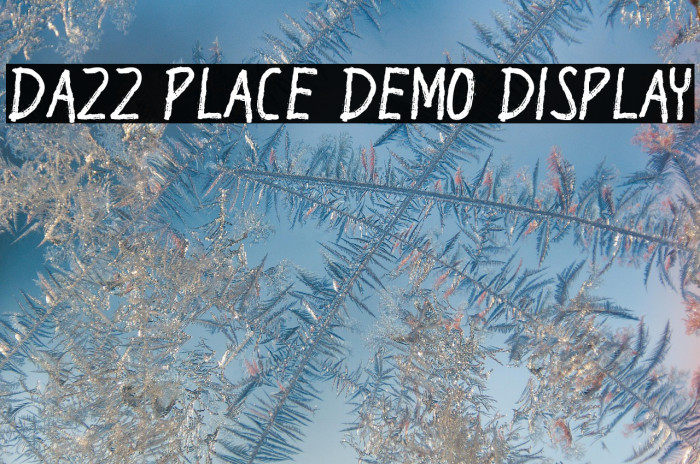 Dazz Place Demo Display Example 3