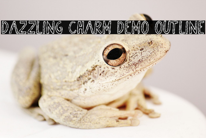 Dazzling Charm DEMO Outline Example 2