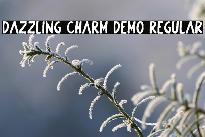 Dazzling Charm DEMO Regular Example 2