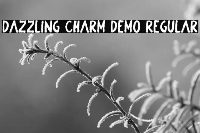 Dazzling Charm DEMO Regular Example 2