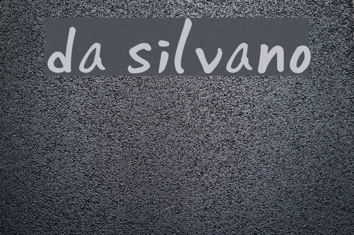 da silvano Example 1