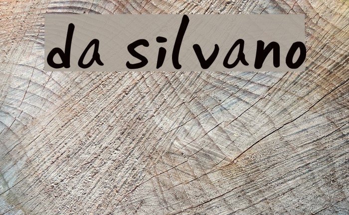 da silvano Example 3