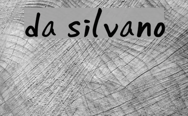 da silvano Example 3