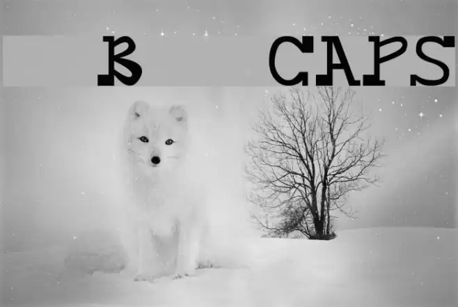 daBossCAPS Font examples