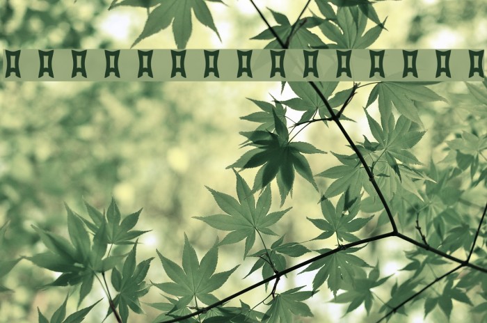 dadapaw-friends Font examples