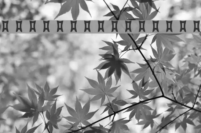 dadapaw-friends Font examples