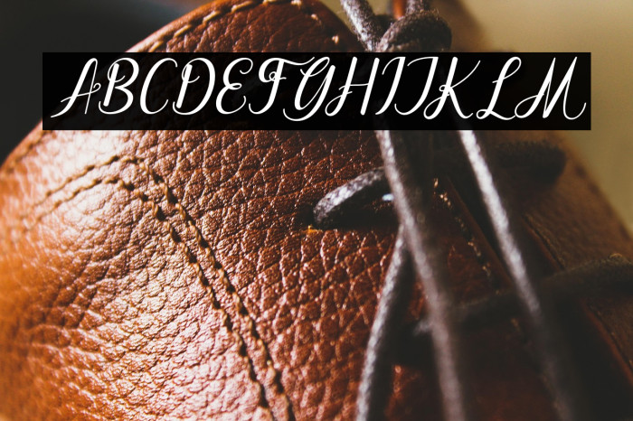 dahliaScript-Italic Example 3